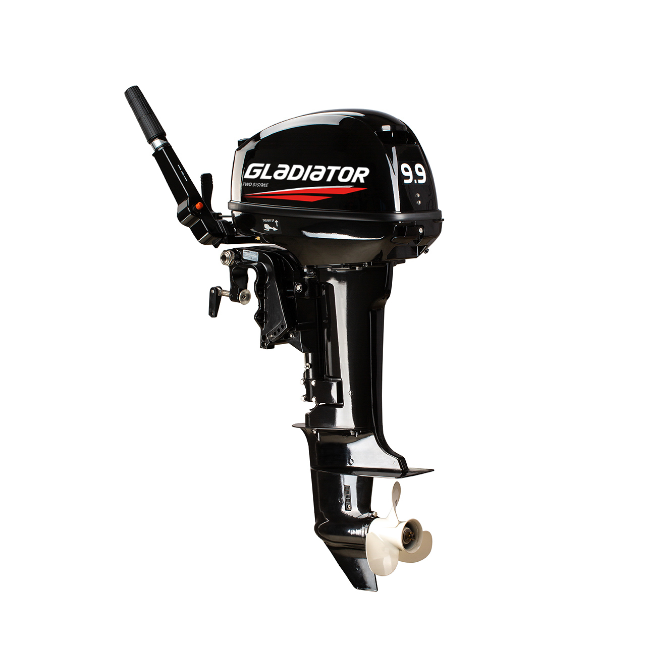 ЛОДОЧНЫЙ МОТОР GLADIATOR G9.9FHS в Рубцовске