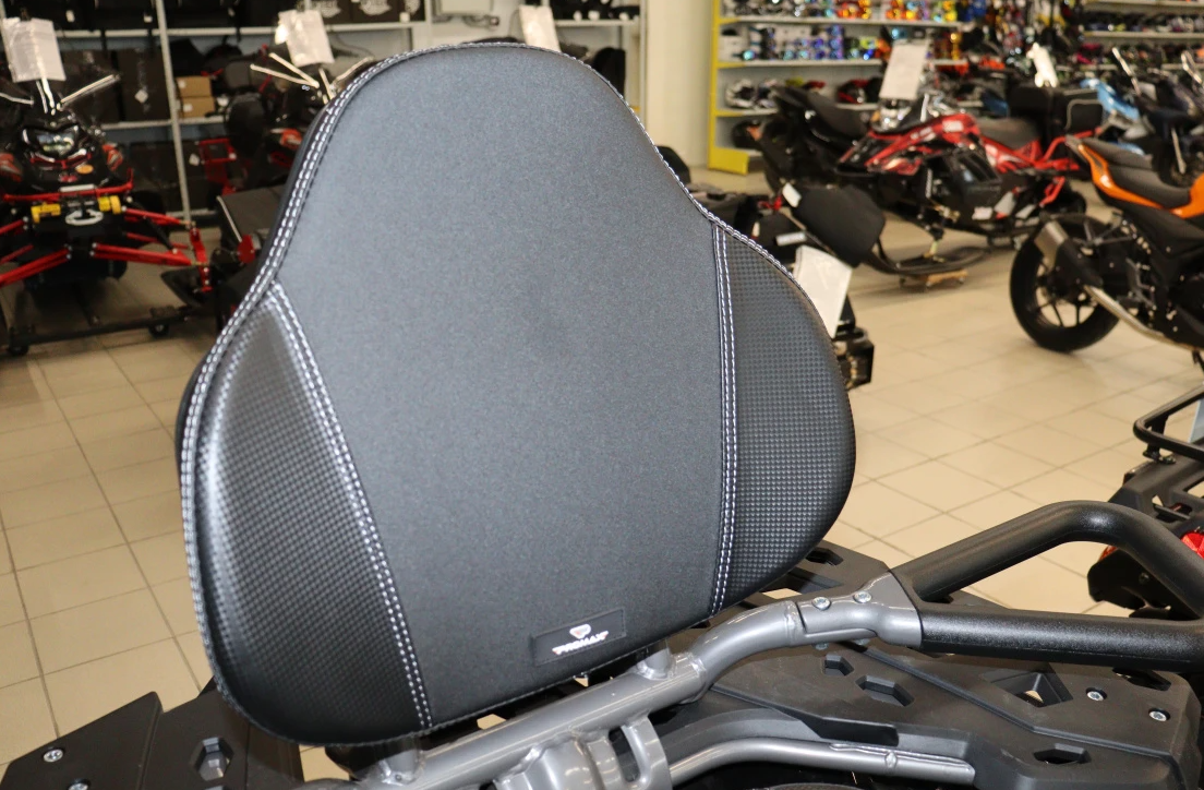 Квадроцикл PROMAX RENEGADE 300 LONG WINCH PRO (2025) в Рубцовске