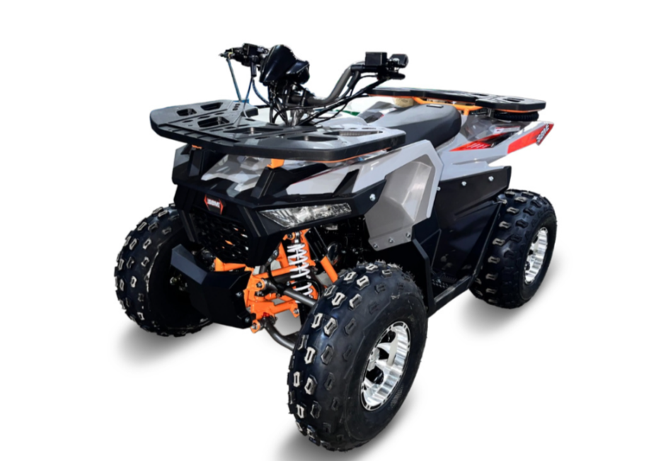 Квадроцикл GBM DAXTER 220 NEW PREMIUM в Рубцовске