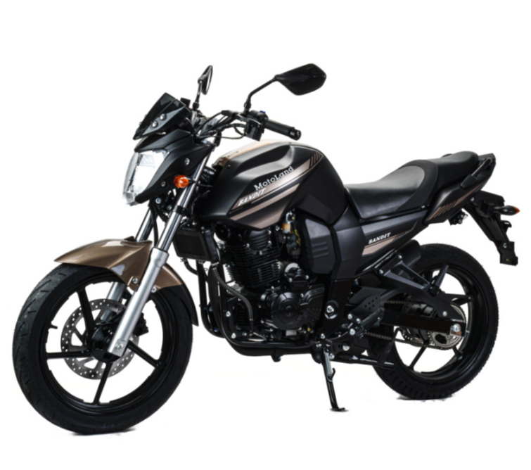 Мотоцикл MOTOLAND (МОТОЛЕНД) 300 BANDIT в Рубцовске