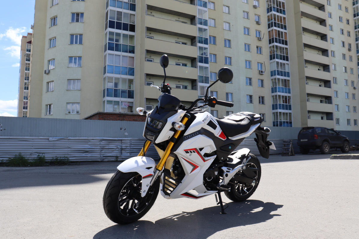 Мотоцикл PROMAX STRYKER 200(49) 2.0 в Рубцовске