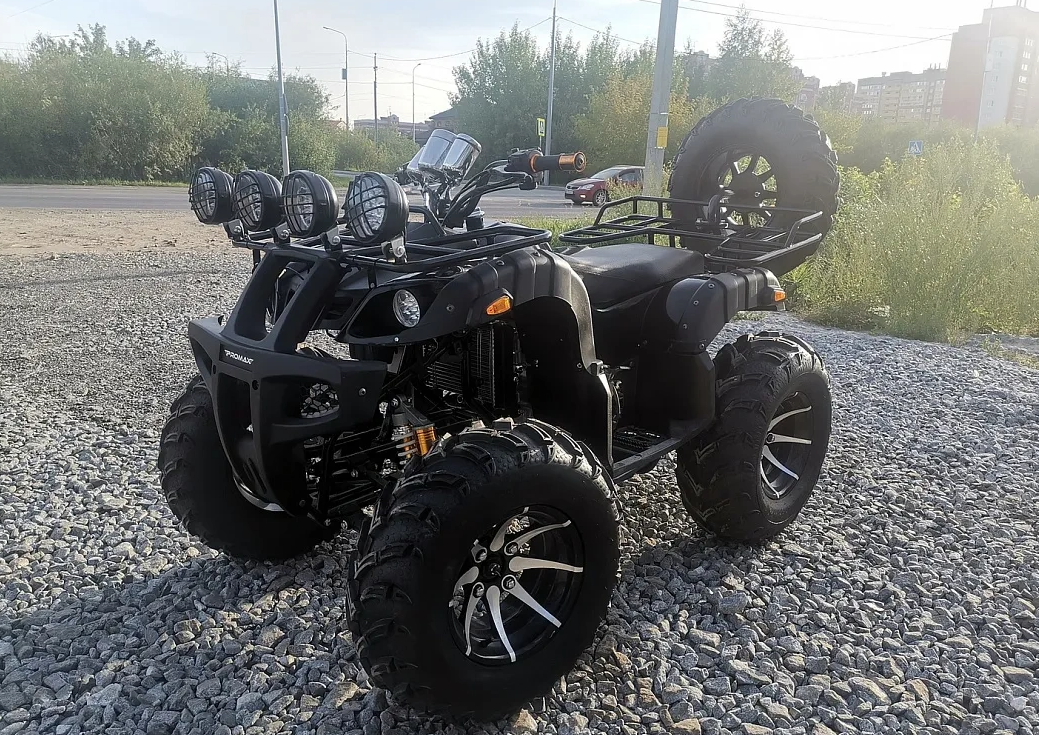 Квадроцикл PROMAX LEO 300 Max (кардан) в Рубцовске