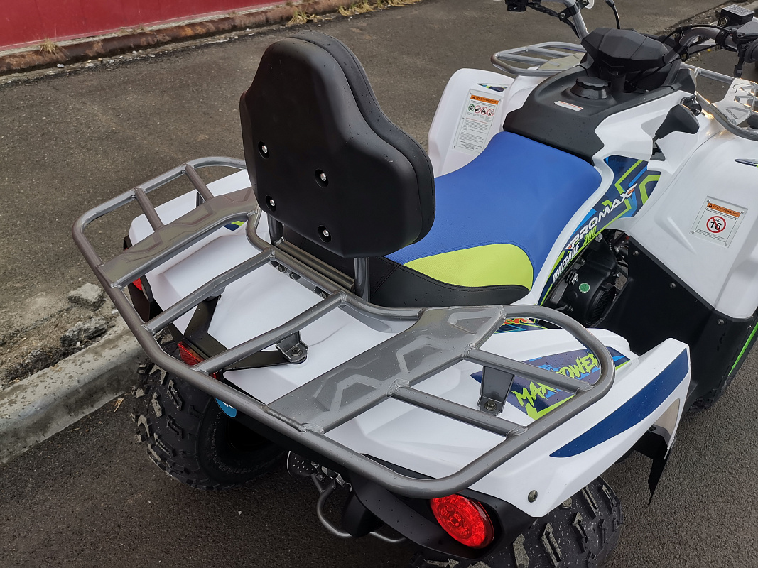 Квадроцикл PROMAX RENEGADE 280 LUX (2025) в Рубцовске