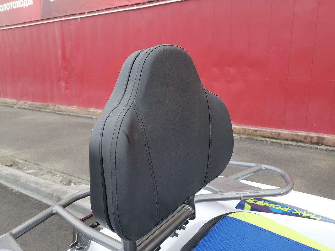 Квадроцикл PROMAX RENEGADE 280 LUX (2025) в Рубцовске