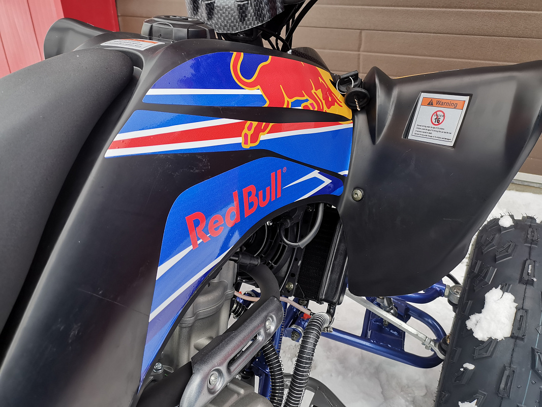 Квадроцикл PROMAX RAPTOR 300 NEW RedBull в Рубцовске