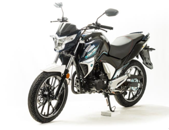 Мотоцикл MOTOLAND (МОТОЛЕНД) FIGHTER 250 в Рубцовске