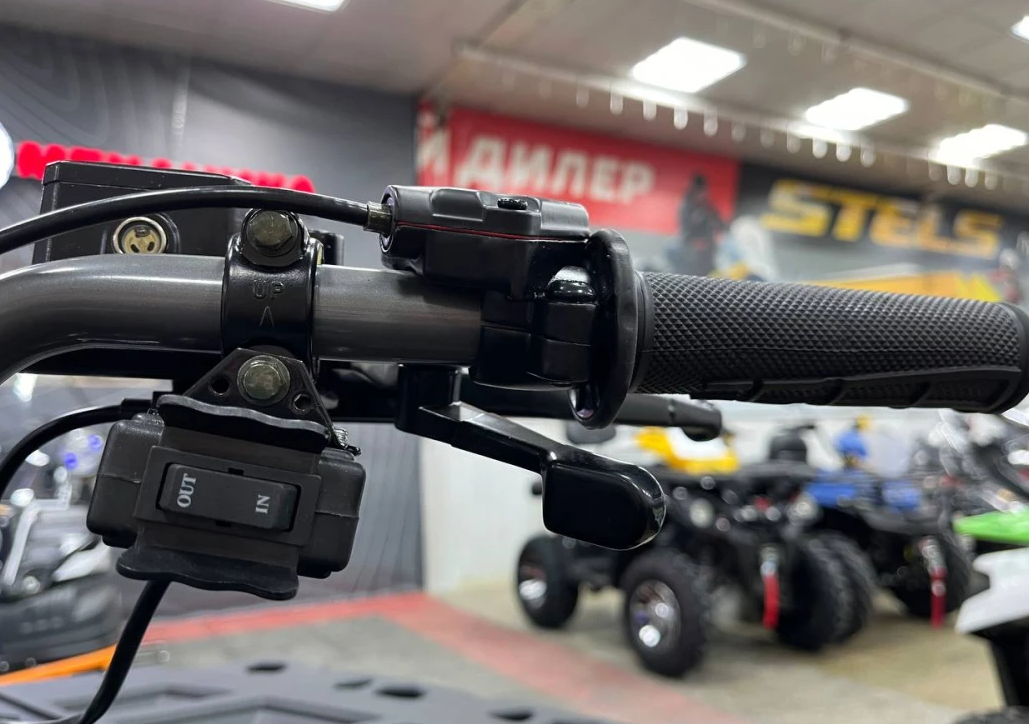 Квадроцикл PROMAX RENEGADE 300 LONG WINCH PRO (2025) в Рубцовске