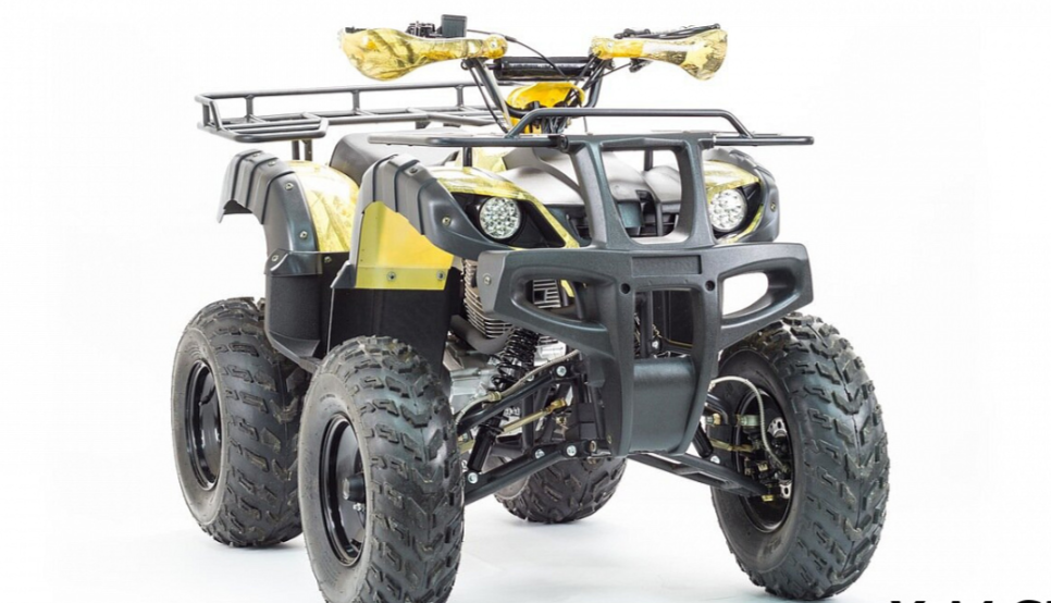 Квадроцикл MOTOLAND (МОТОЛЕНД) 250 ADVENTURE в Рубцовске