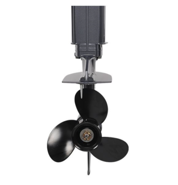 Лодочный мотор ALLFA CG Т40FW S в Рубцовске