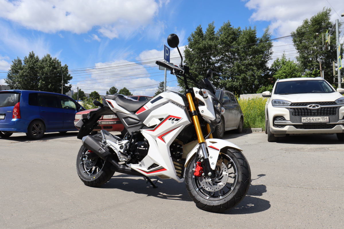 Мотоцикл PROMAX STRYKER 200(49) 2.0 в Рубцовске