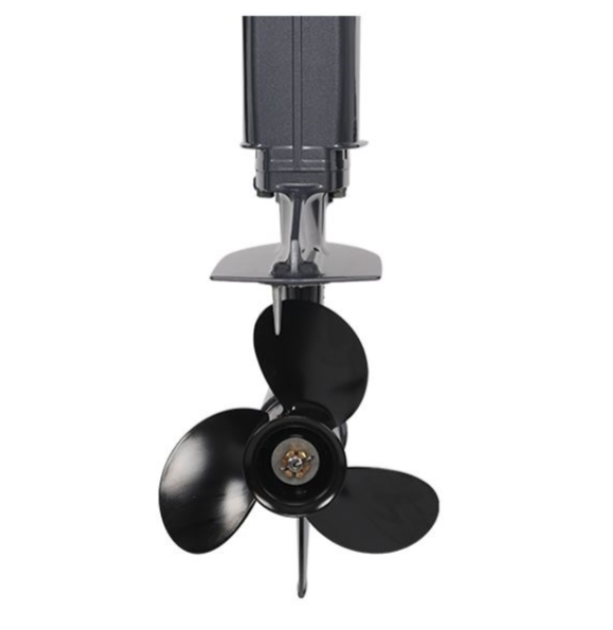 Лодочный мотор ALLFA CG Т40FWT S в Рубцовске