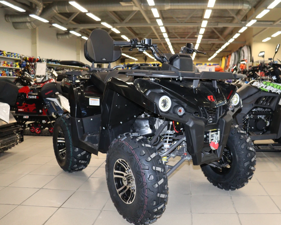 Квадроцикл PROMAX RENEGADE 300 LONG WINCH PRO (2025) в Рубцовске