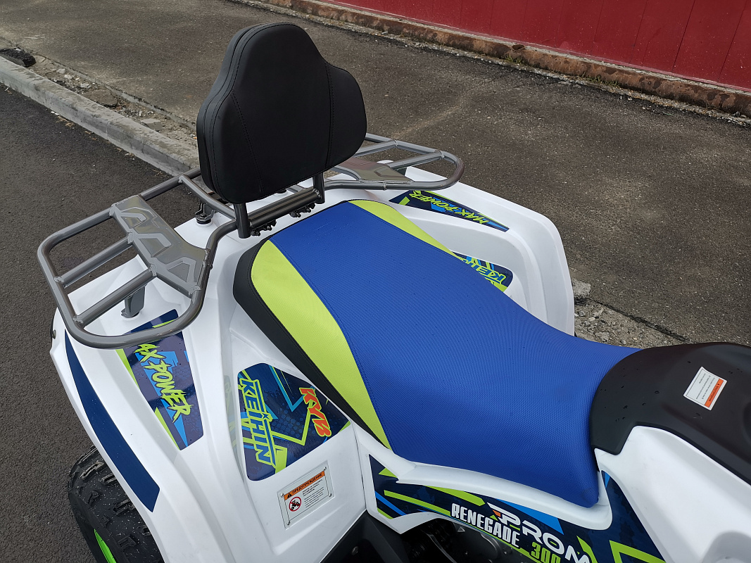 Квадроцикл PROMAX RENEGADE 280 LUX (2025) в Рубцовске