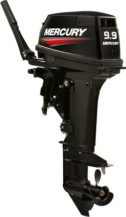 ЛОДОЧНЫЙ МОТОР MERCURY 9.9 MH TMC 247 CC в Рубцовске