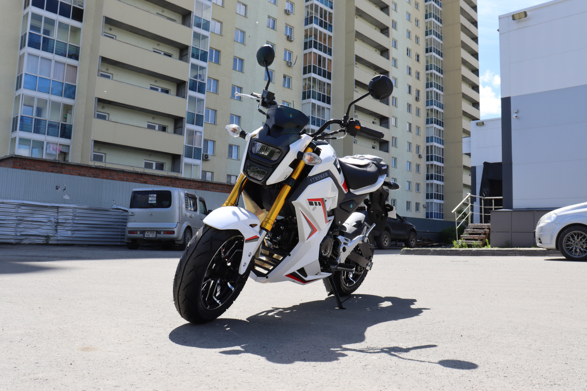 Мотоцикл PROMAX STRYKER 200(49) 2.0 в Рубцовске