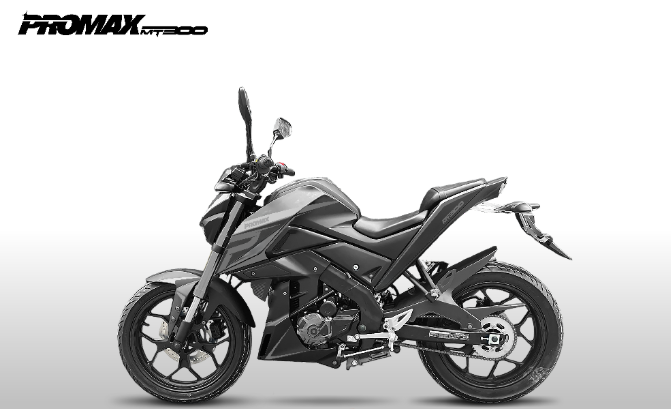 Мотоцикл PROMAX MT300 в Рубцовске