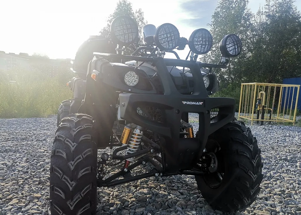 Квадроцикл PROMAX LEO 300 Max (кардан) в Рубцовске