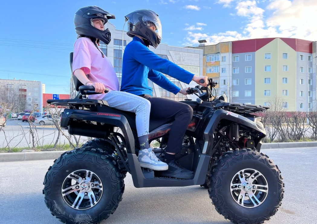 Квадроцикл PROMAX RENEGADE 300 LONG WINCH PRO (2025) в Рубцовске