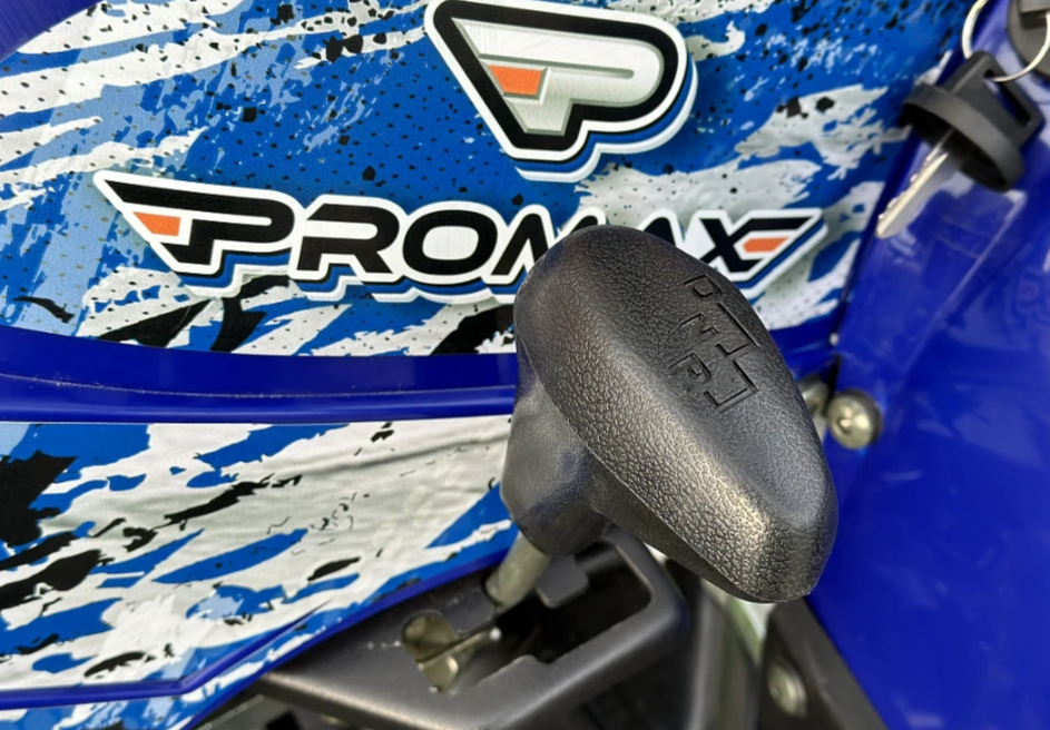  Квадроцикл PROMAX ATV 250 MAX (2025) в Рубцовске