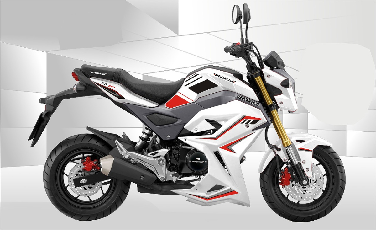 Мотоцикл PROMAX STRYKER 200(49) 2.0 в Рубцовске