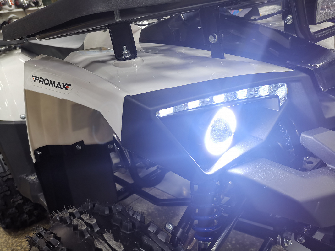 Квадроцикл PROMAX WILD 175 LUX в Рубцовске