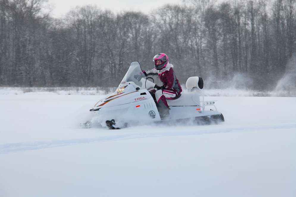 Снегоход Русская механика РМ TAYGA PATRUL 551 SWT в Рубцовске