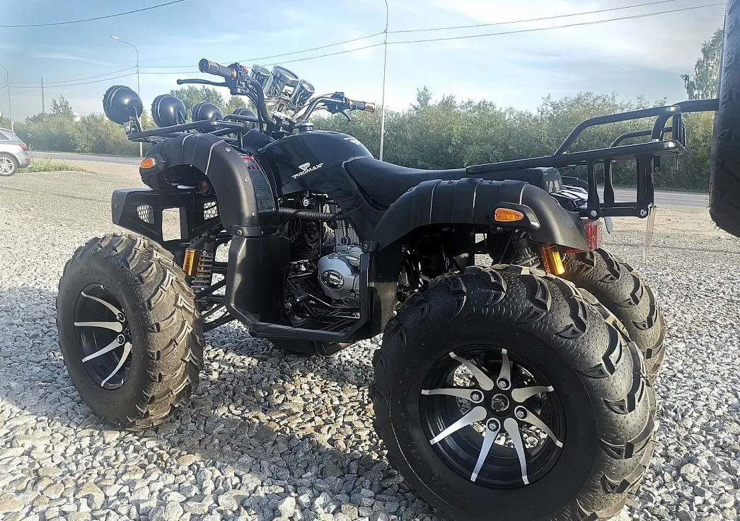 Квадроцикл PROMAX LEO 300 Max (кардан) в Рубцовске