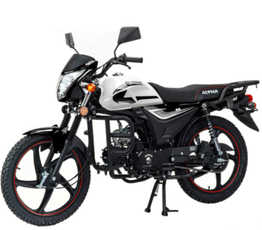 Мопед MOTOLAND (МОТОЛЕНД) Альфа RS 11 (LM48-B) в Рубцовске