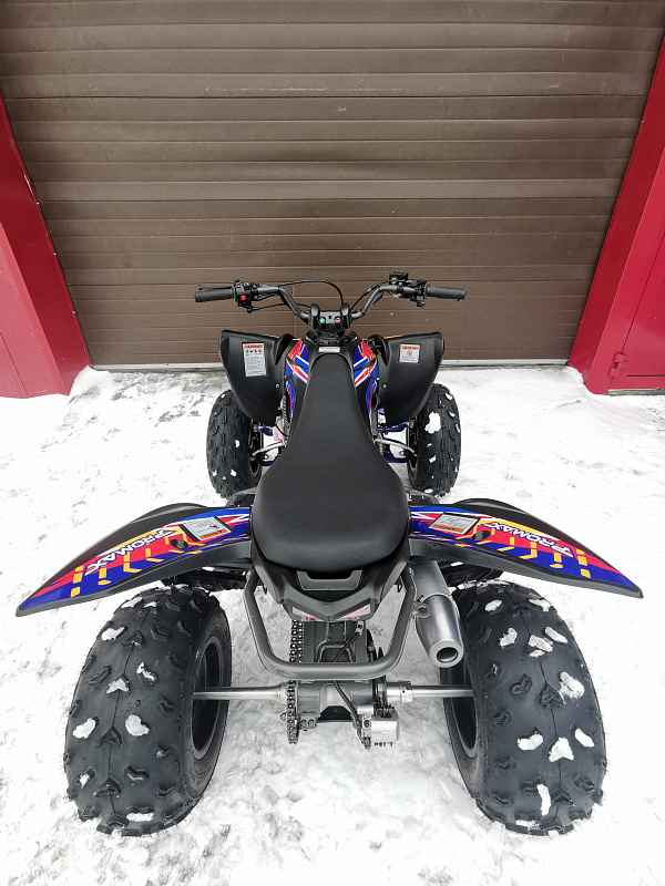 Квадроцикл PROMAX RAPTOR 300 NEW RedBull в Рубцовске