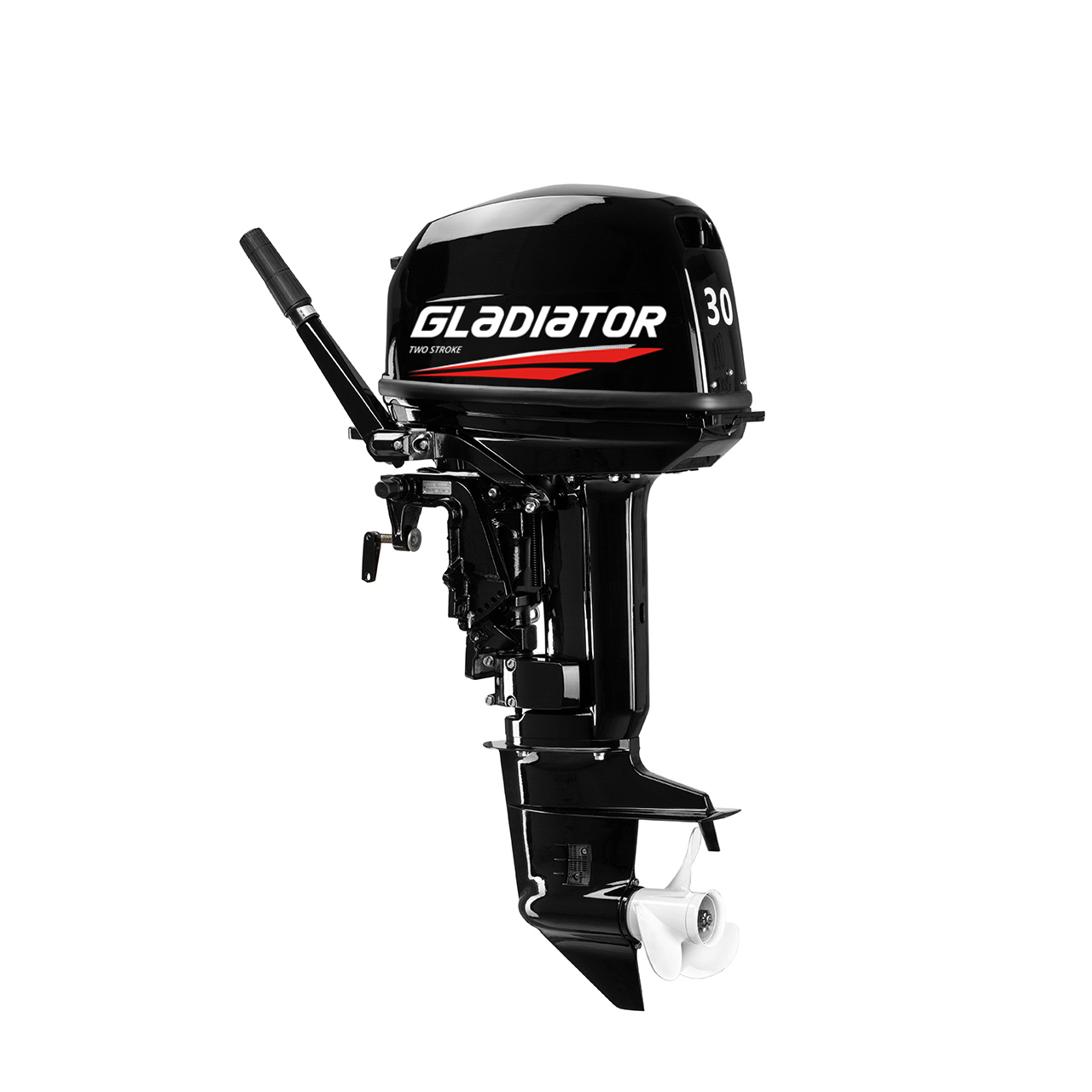 ЛОДОЧНЫЙ МОТОР GLADIATOR G30FHS в Рубцовске