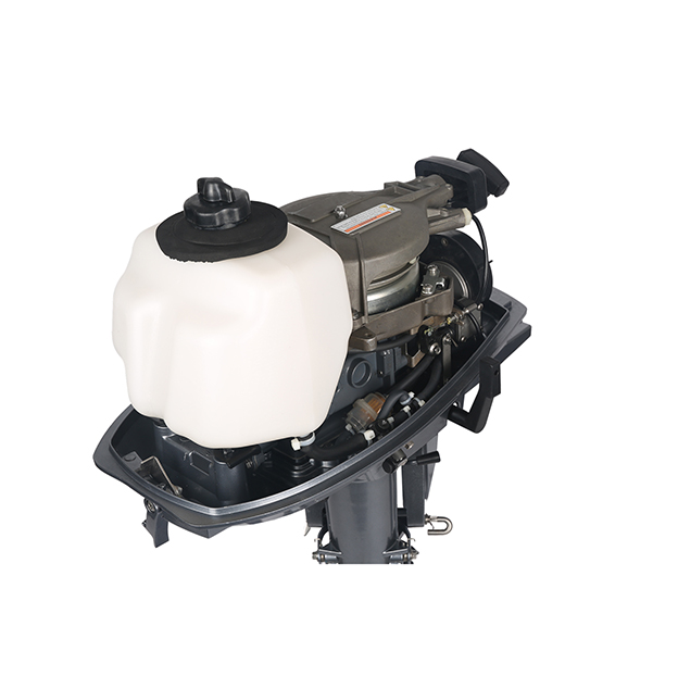 ЛОДОЧНЫЙ МОТОР ALLFA CG T5 в Рубцовске