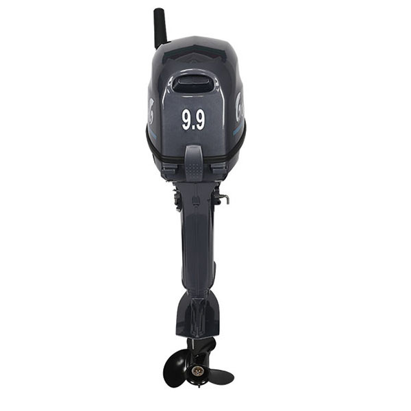 Лодочный мотор ALLFA CG Т9.9(20)MAX в Рубцовске