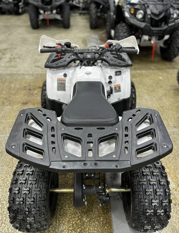 Квадроцикл PROMAX WILD 2.0 190 в Рубцовске