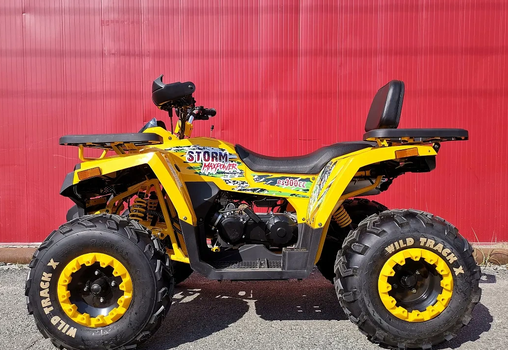 Квадроцикл PROMAX STORM 280 LUX в Рубцовске