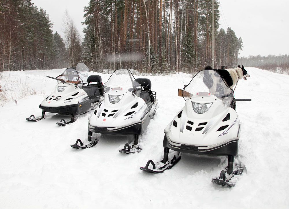 Снегоход Русская механика РМ ТАЙГА ВАРЯГ 550 V в Рубцовске