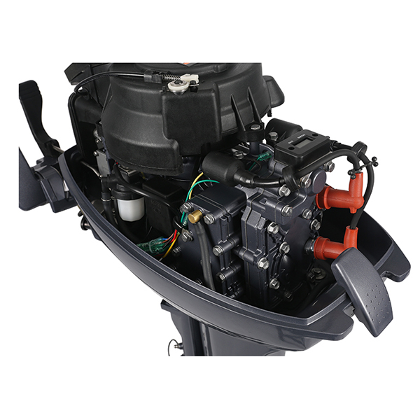 ЛОДОЧНЫЙ МОТОР ALLFA CG Т9,9 Limit в Рубцовске