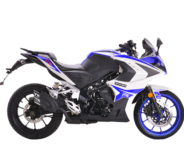 Мотоцикл RACER RC250XZR-A STORM в Рубцовске