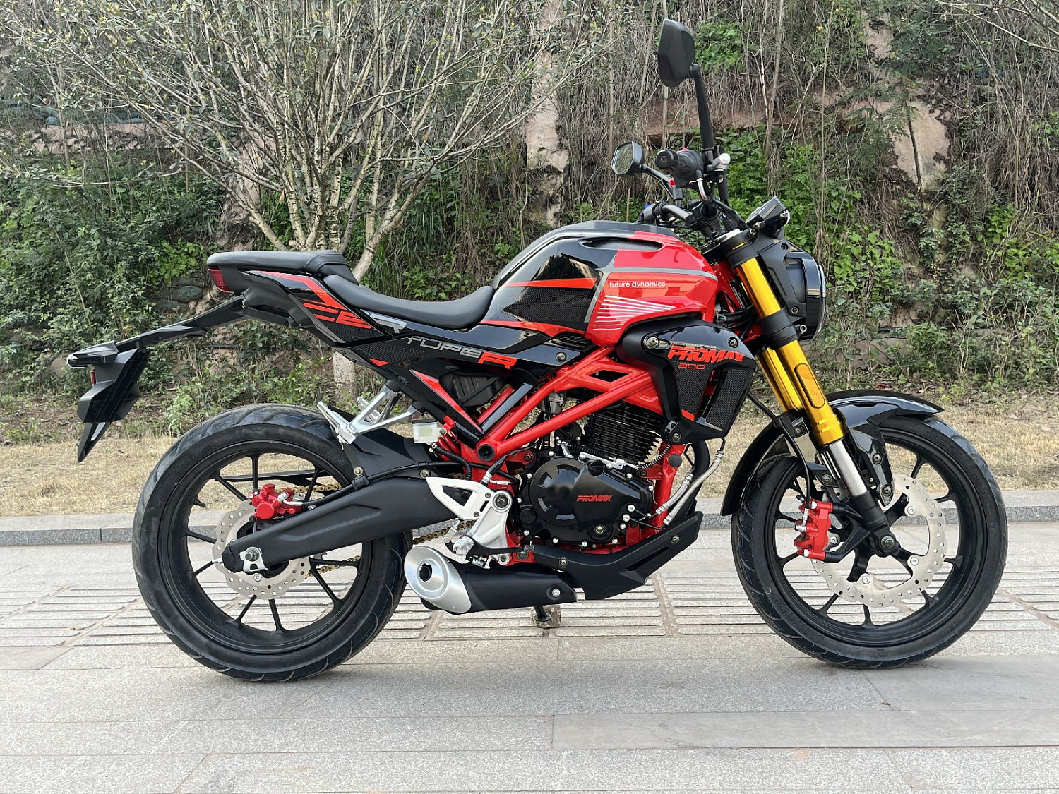 Мотоцикл PROMAX CB300 в Рубцовске