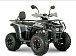 Квадроцикл YACOTA DRAGON LUX LD 150 PRO-SPORT в Рубцовске