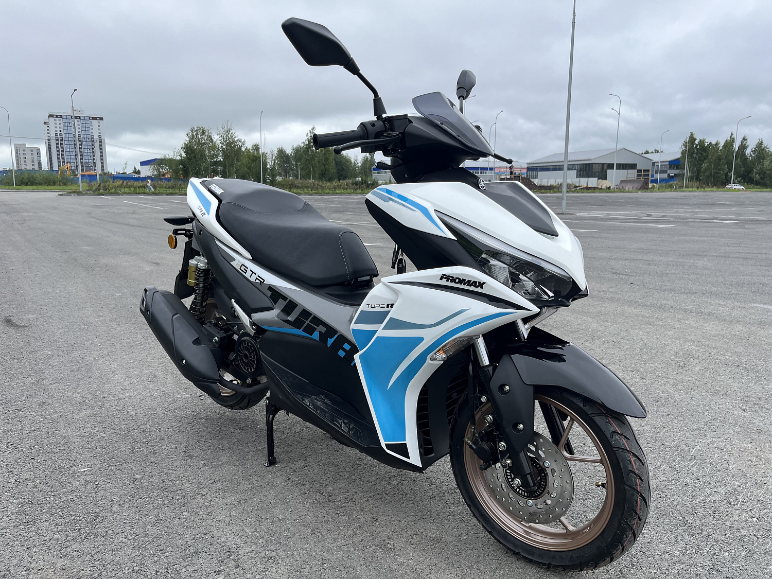 Скутер PROMAX TURAN 250 (49) в Рубцовске