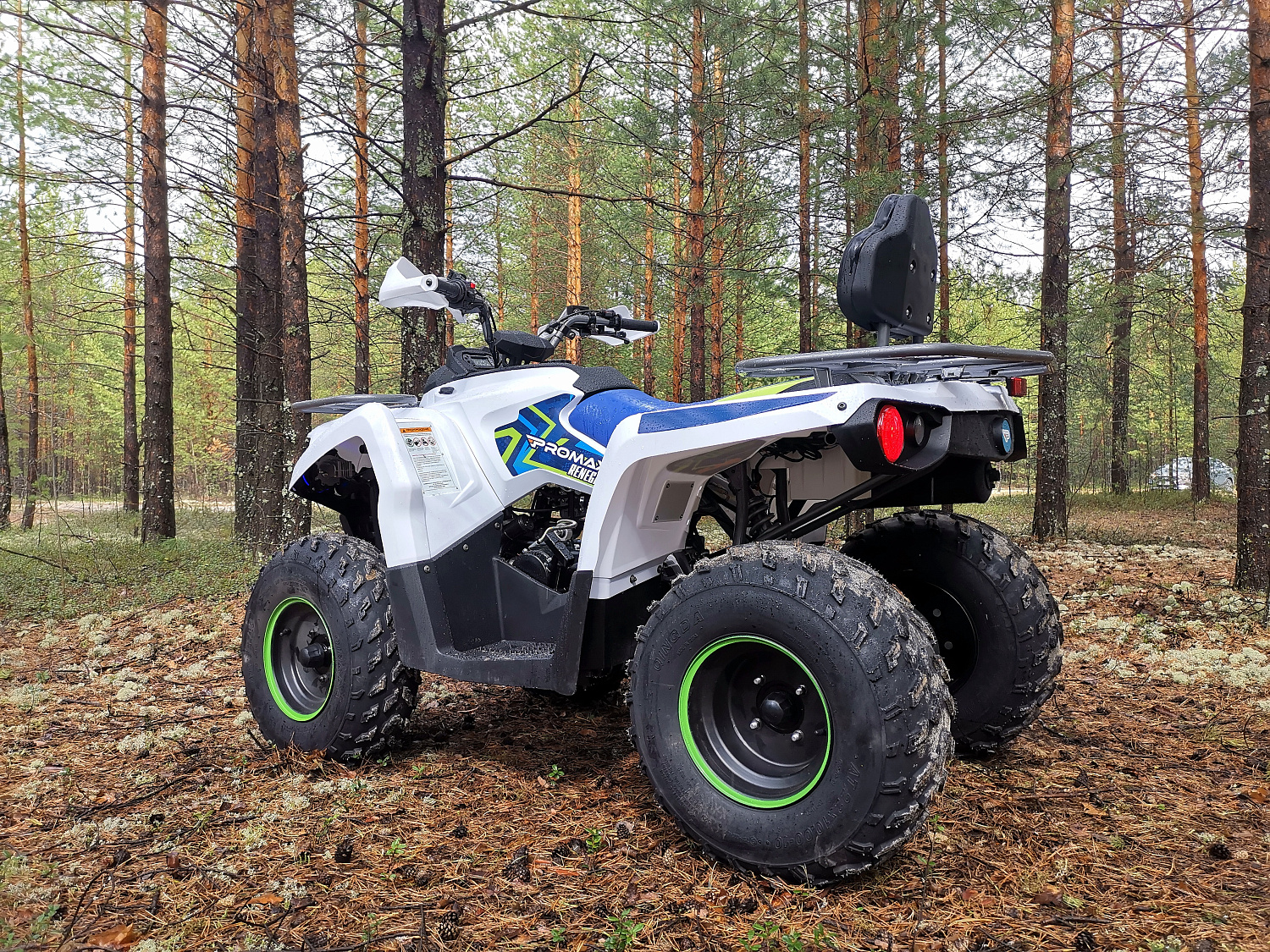 Квадроцикл PROMAX RENEGADE 280 (2025) в Рубцовске