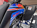 Квадроцикл PROMAX RAPTOR 300 NEW RedBull в Рубцовске