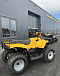 КВАДРОЦИКЛ IRBIS ATV 250  в Рубцовске