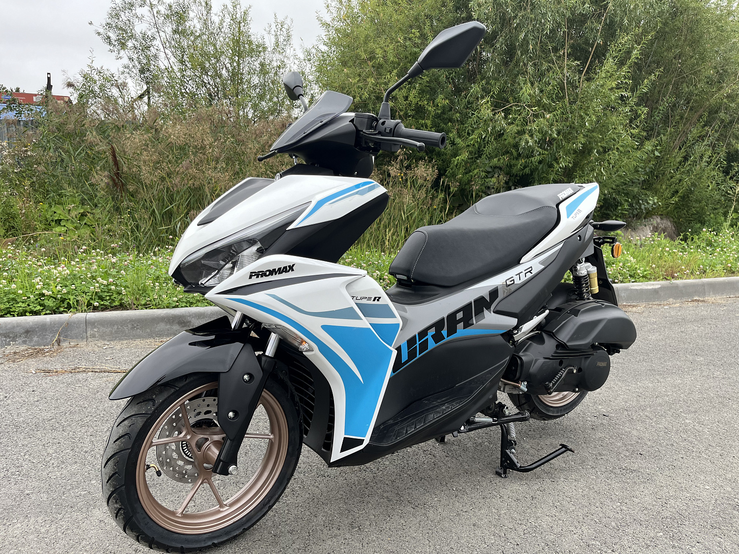 Скутер PROMAX TURAN 250 (49) в Рубцовске