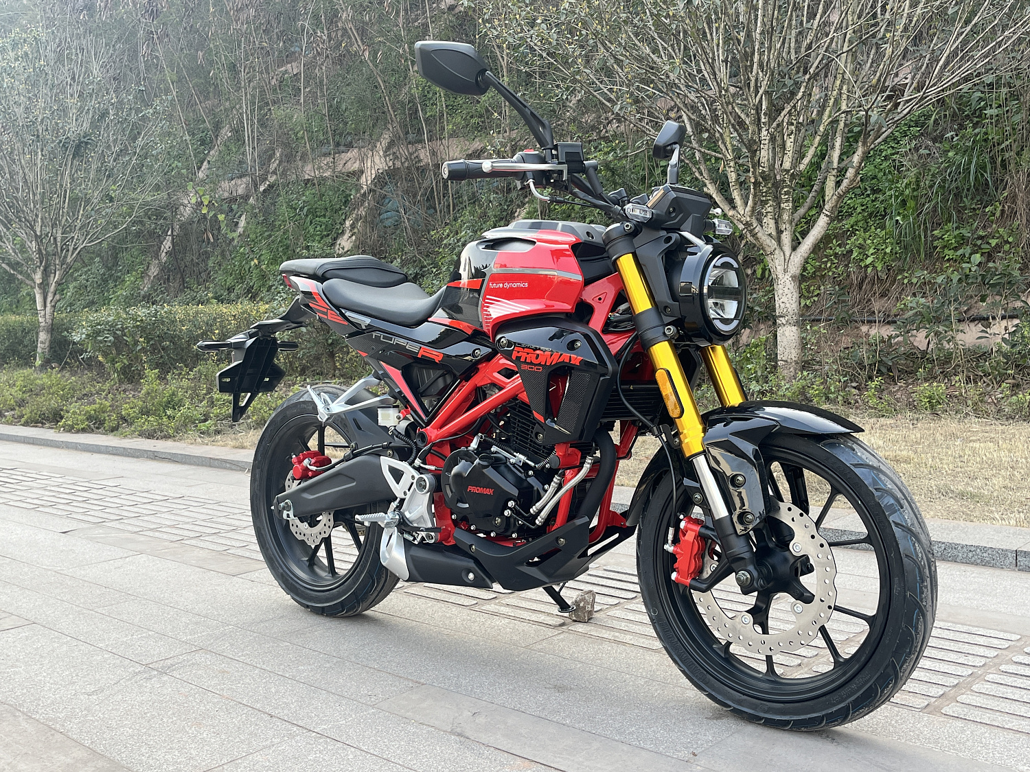 Мотоцикл PROMAX CB300 в Рубцовске