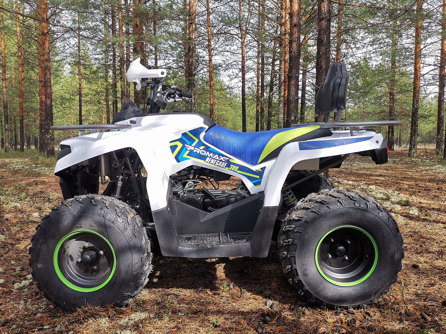 Квадроцикл PROMAX RENEGADE 280 (2025) в Рубцовске