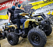 Квадроцикл PROMAX ATV 250 (2025) в Рубцовске