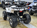 Квадроцикл PROMAX WILD 2.0 190 LUX в Рубцовске