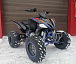 Квадроцикл PROMAX RAPTOR 300 NEW RedBull в Рубцовске