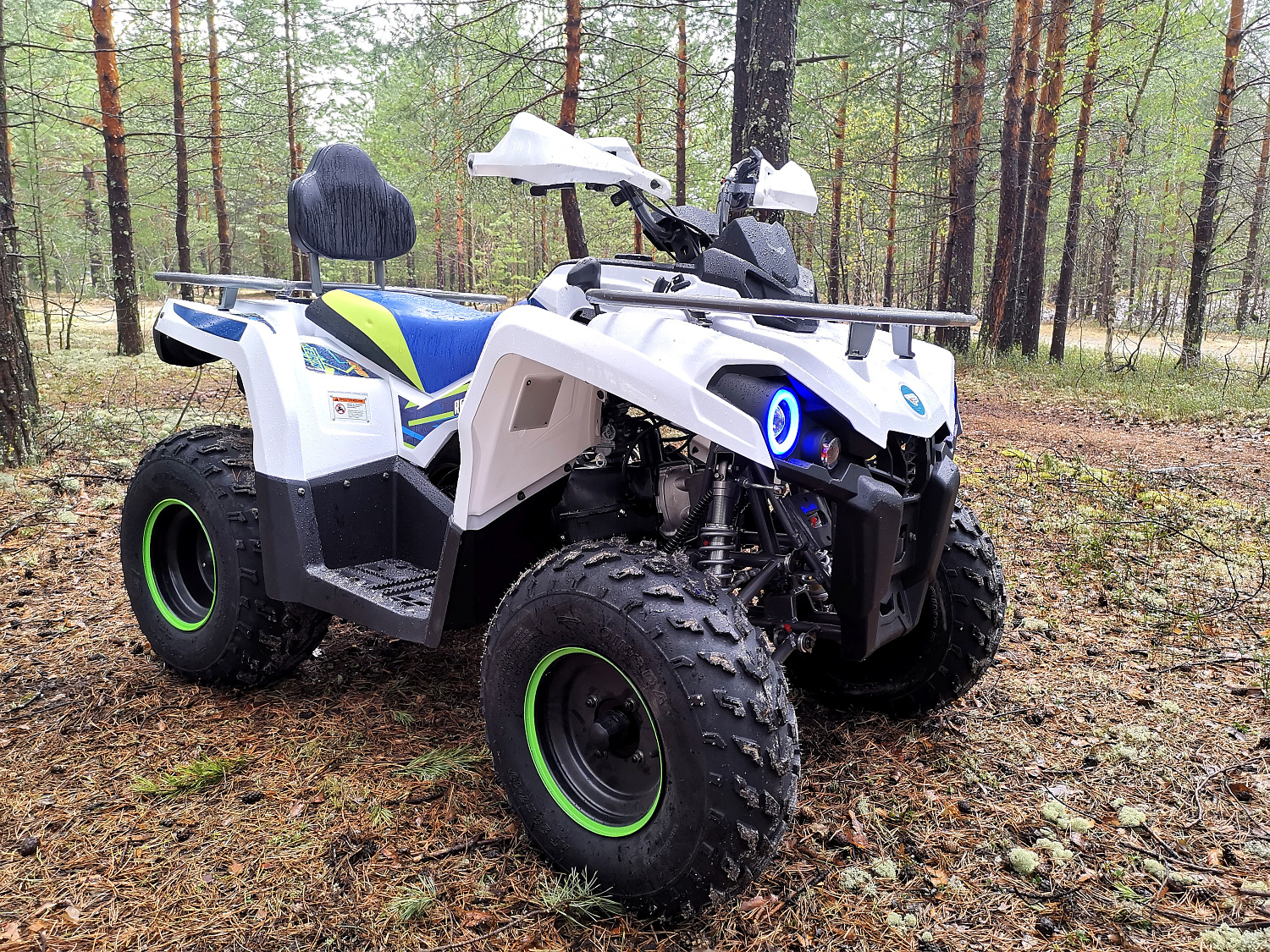 Квадроцикл PROMAX RENEGADE 280 (2025) в Рубцовске